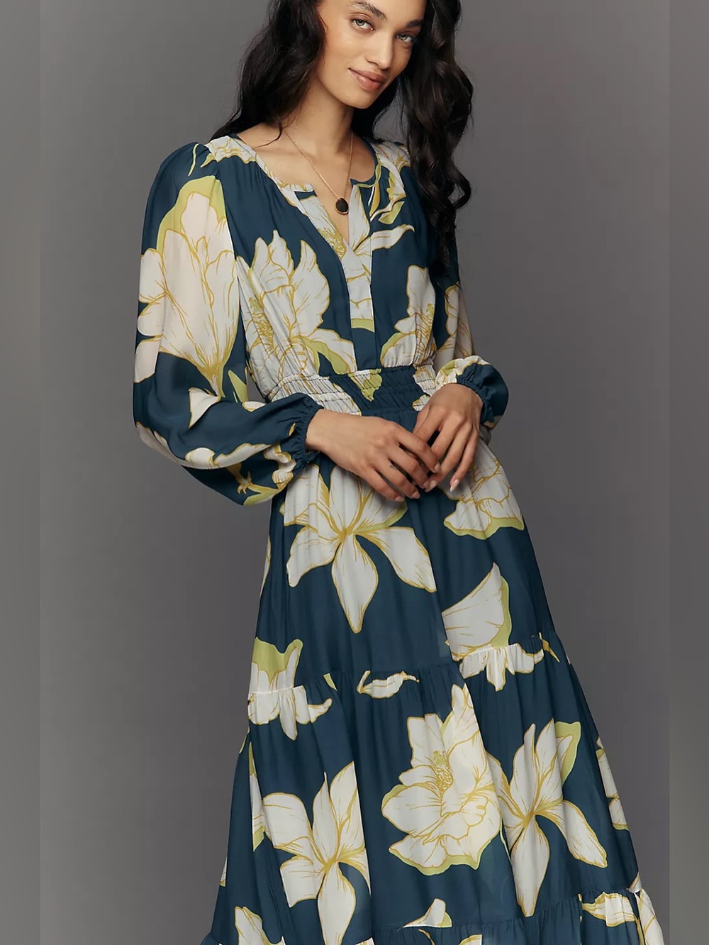 NWT Size S - Somerset Maxi Dress: Long-Sleeve Chiffon Edition (US$ 178) - Picture 1 of 16